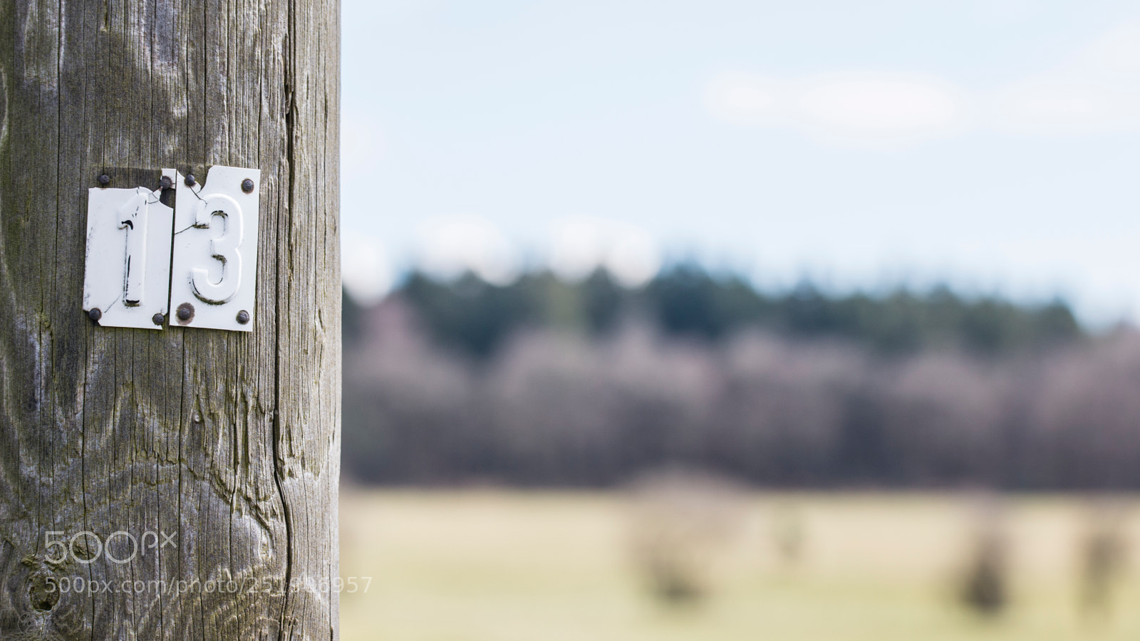 Canon EOS 70D sample photo. 13 focus photography