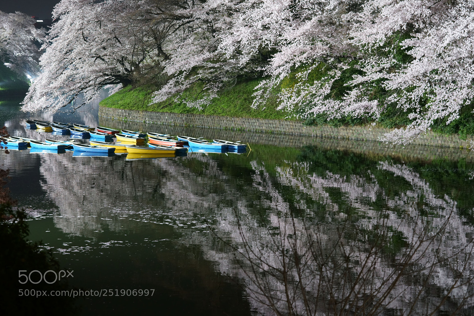 Sony a9 sample photo. Boat and cherry blossoms photography