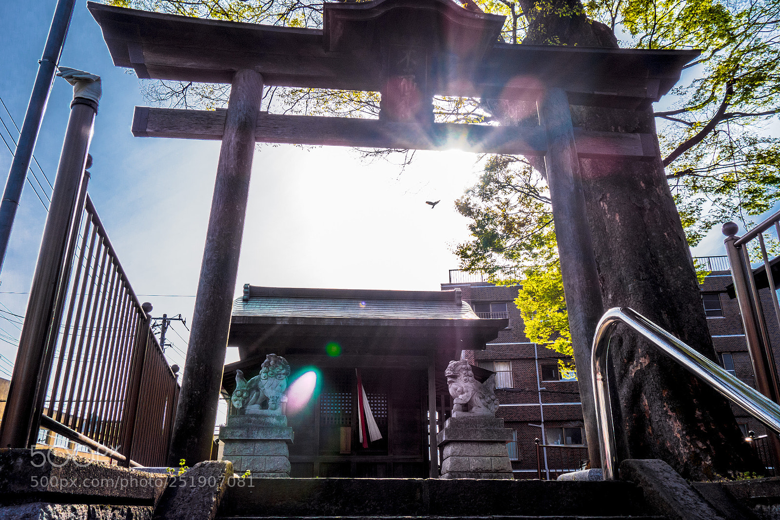 Sony Cyber-shot DSC-RX100 sample photo. Shrine against the light photography