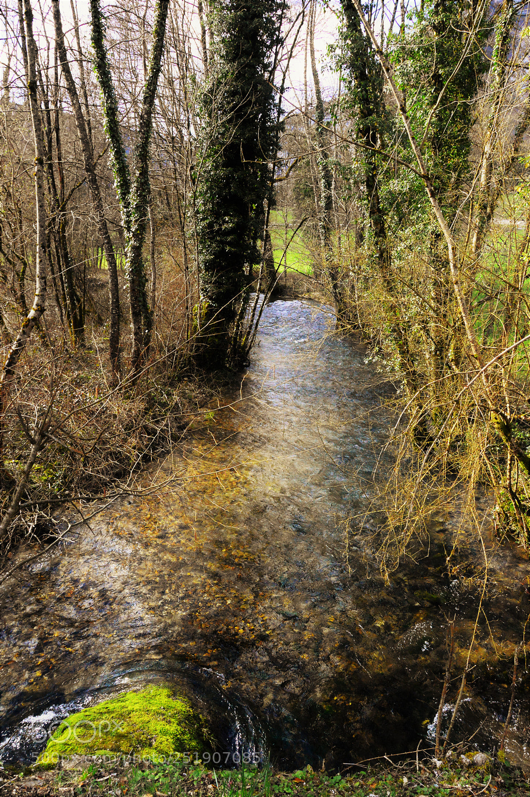 Nikon D3200 sample photo. Untitled photography