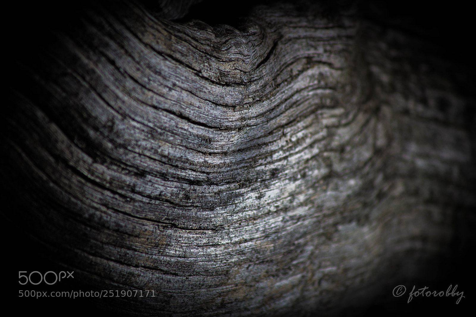 Canon EOS 600D (Rebel EOS T3i / EOS Kiss X5) sample photo. Woodark photography