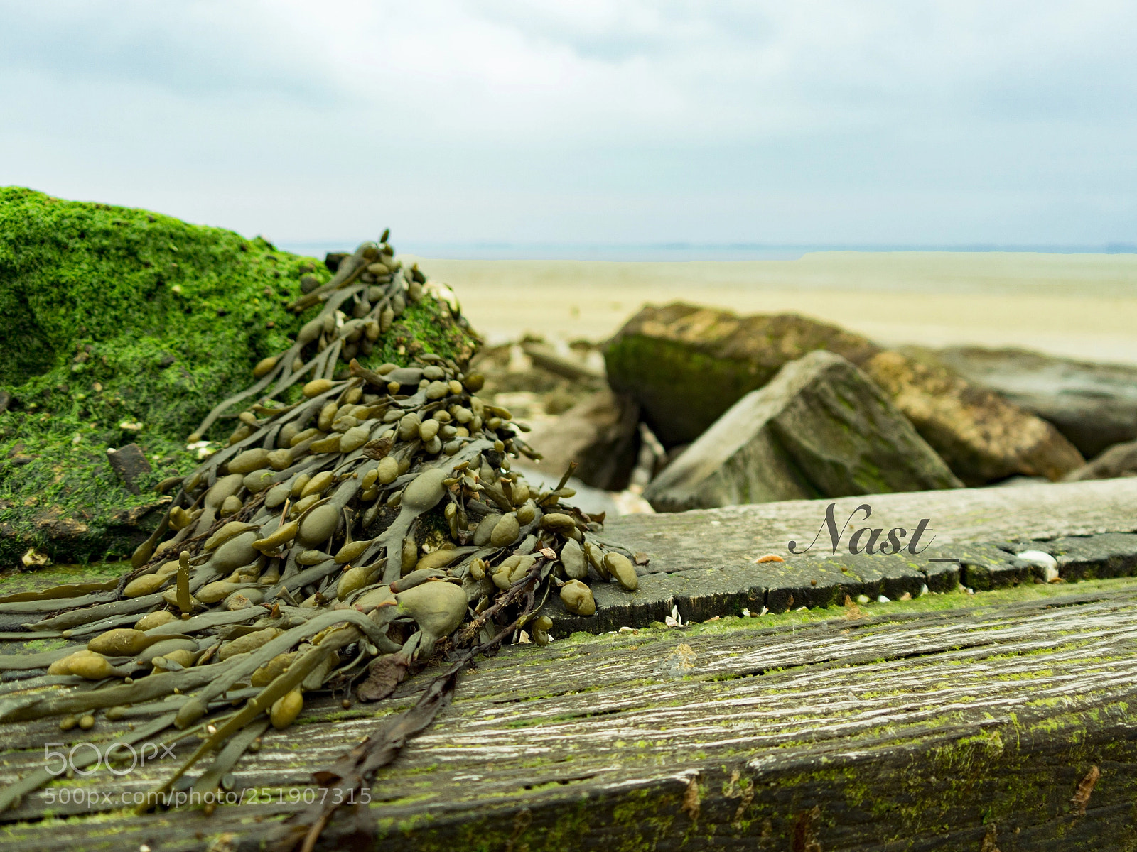 Olympus OM-D E-M5 II sample photo. Forgotten beach photography