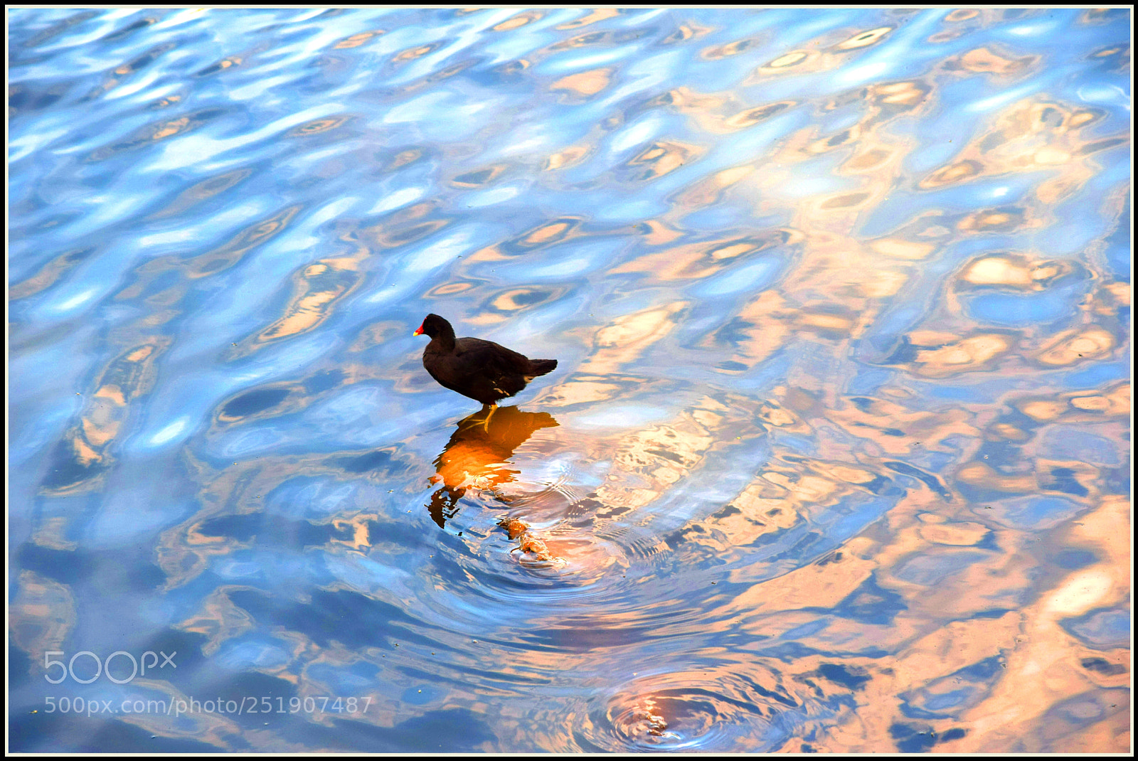 Nikon D5300 sample photo. ... photography