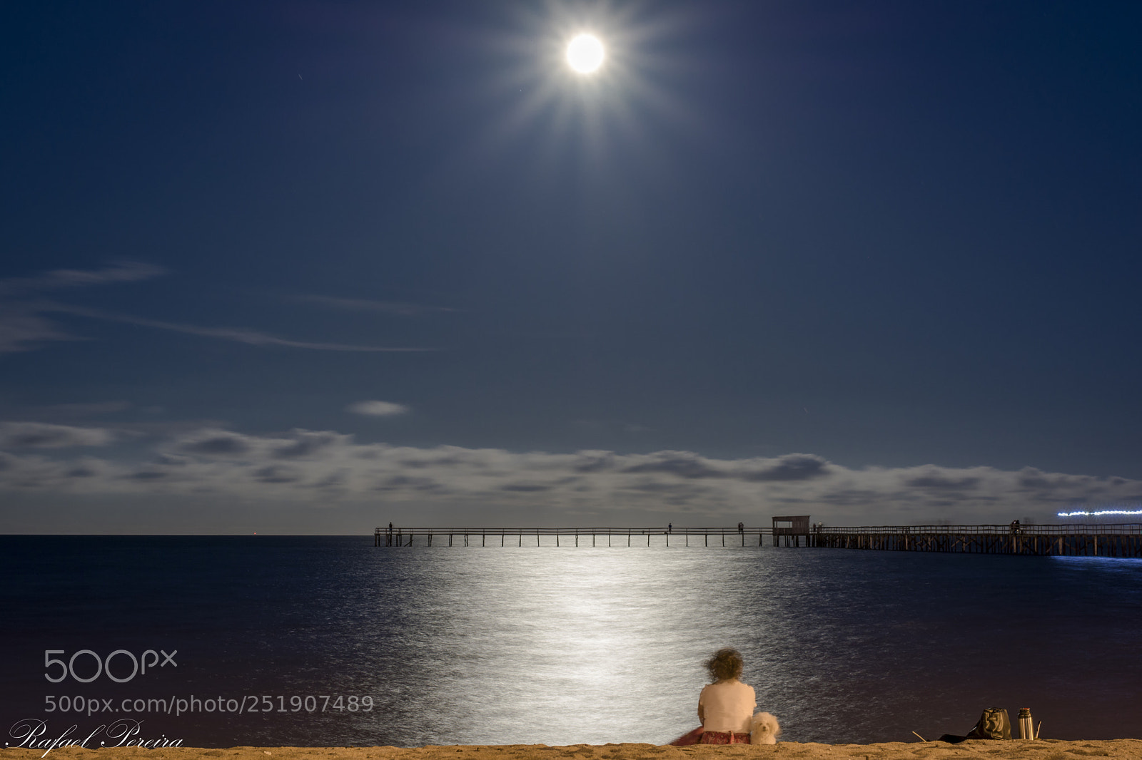 Nikon D7100 sample photo. _rsp3668-3.jpg photography