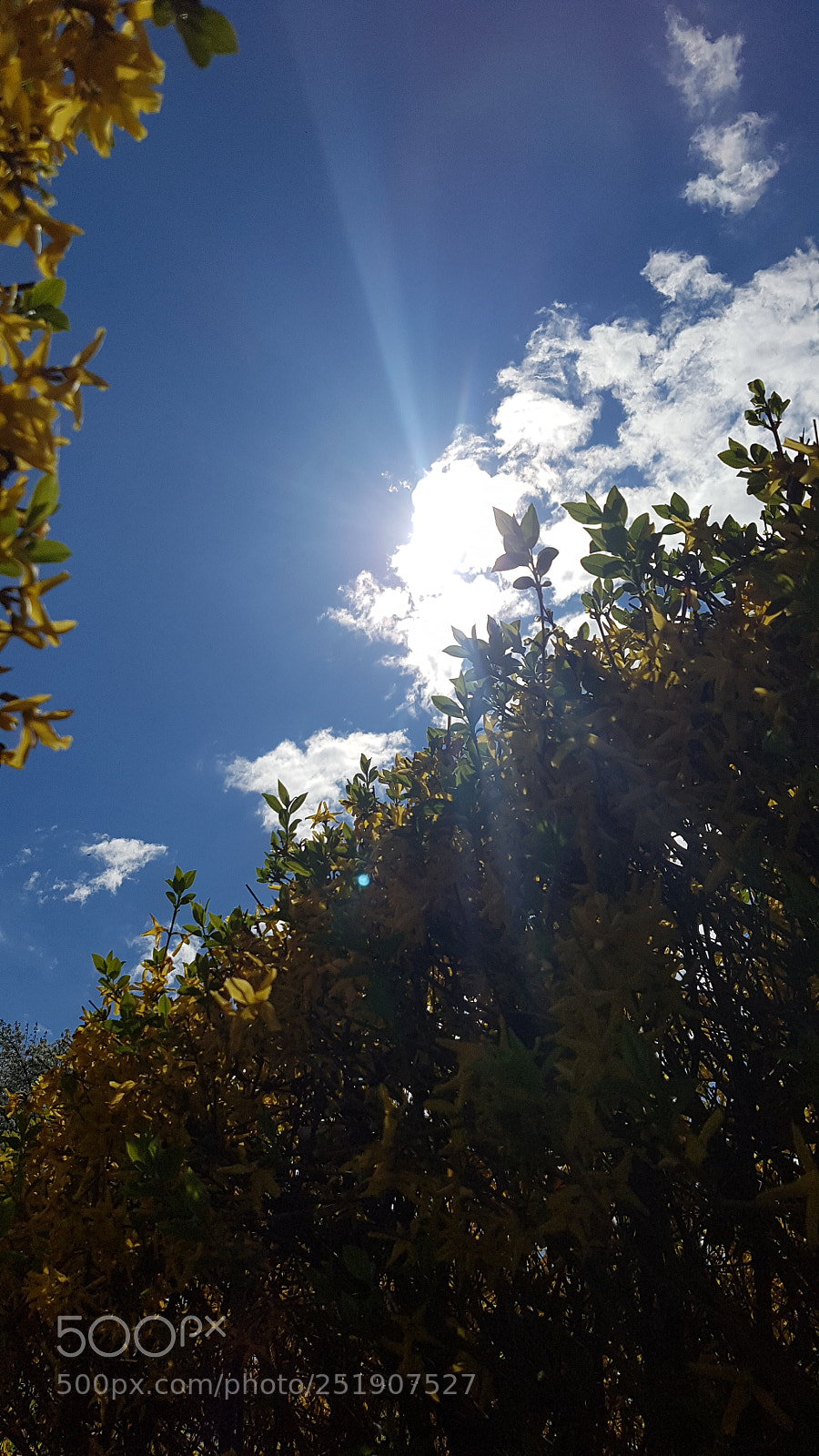 Samsung Galaxy S7 sample photo. Untitled photography