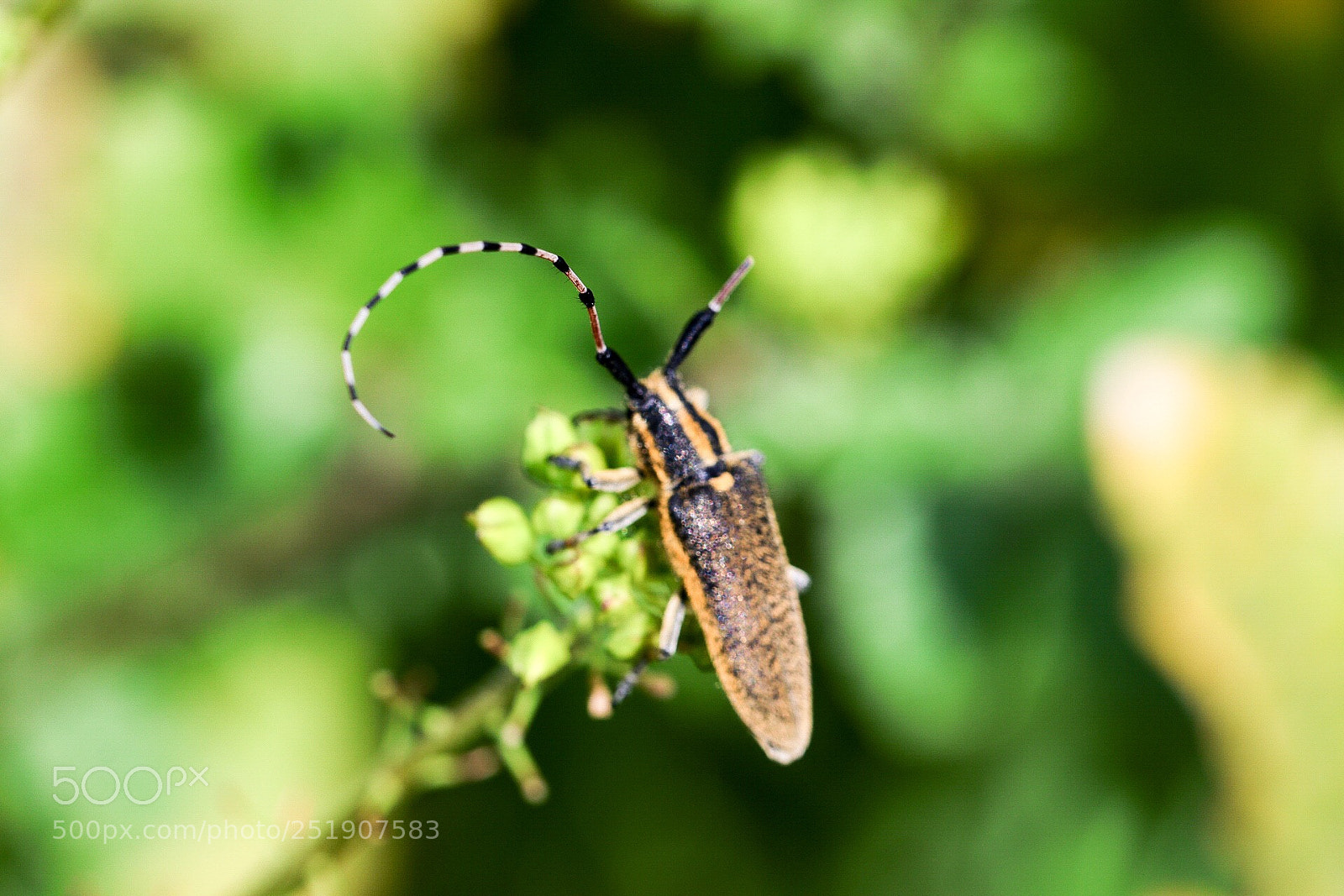 Canon EOS 80D sample photo. Untitled photography