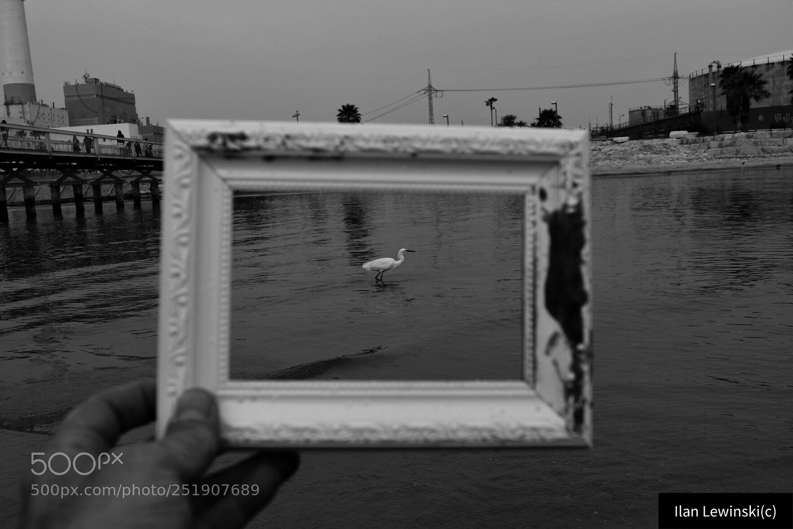 Canon EOS 80D sample photo. Untitled photography