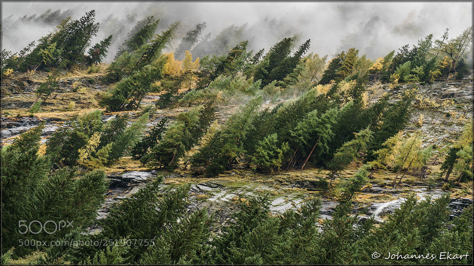 Sony a7 sample photo. Steep uphill photography