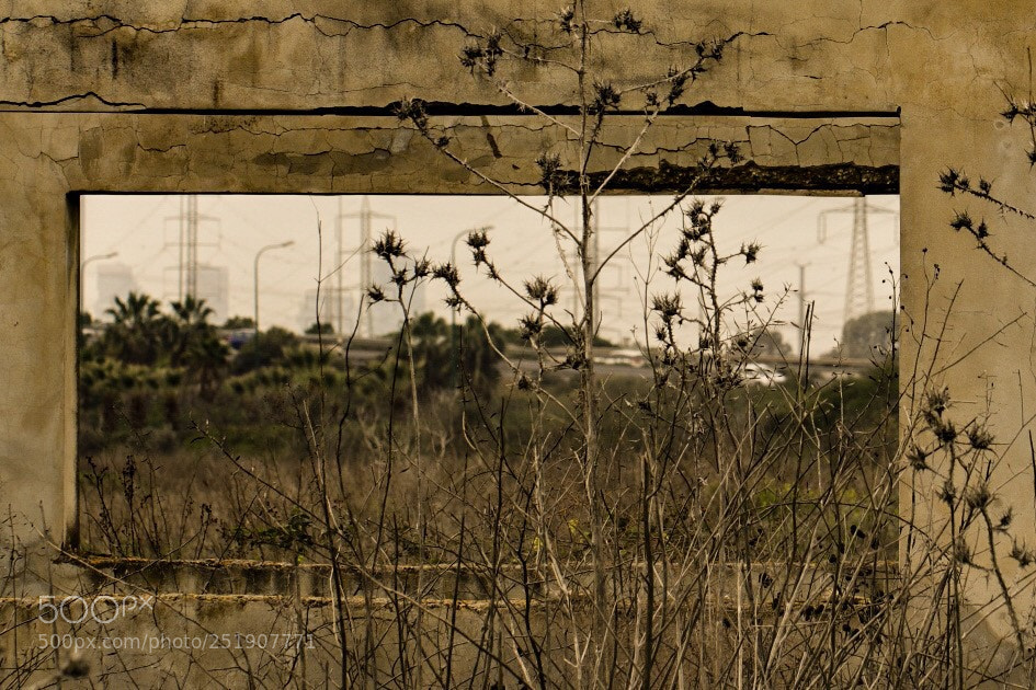 Canon EOS 80D sample photo. Untitled photography