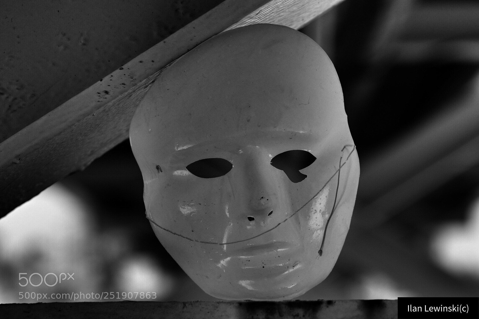 Canon EOS 80D sample photo. Untitled photography