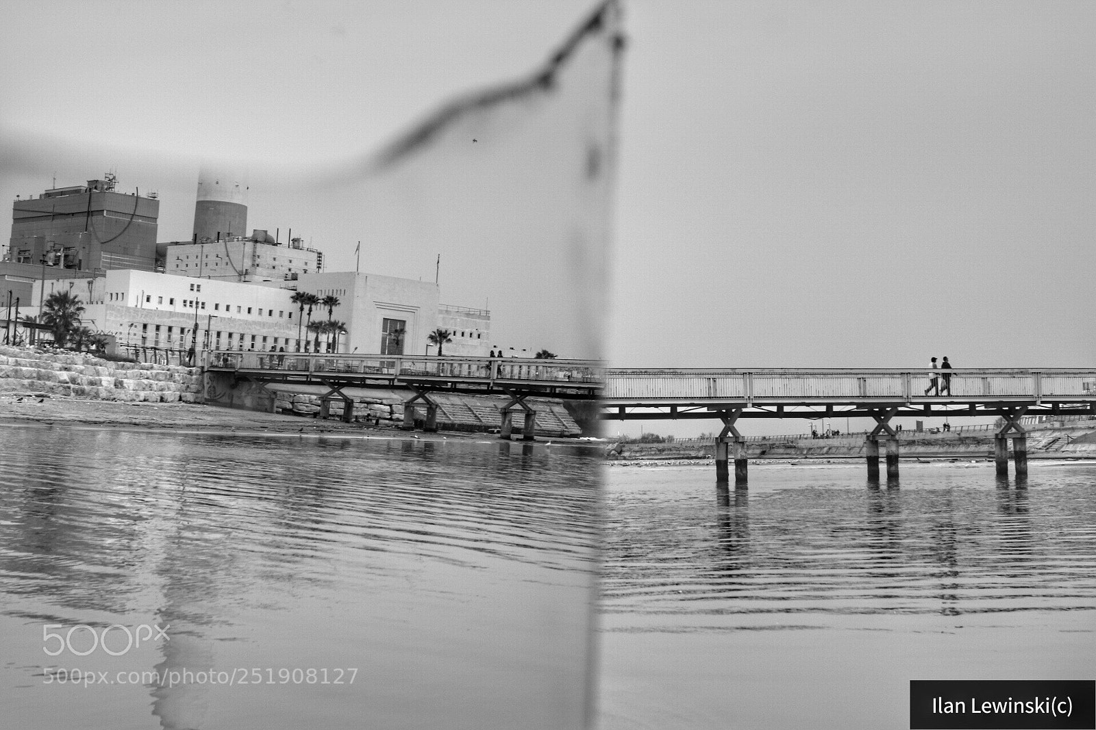 Canon EOS 80D sample photo. Untitled photography