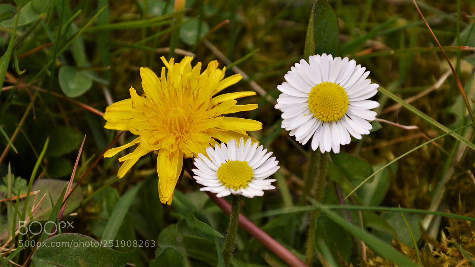 Nikon D3200 sample photo. Untitled photography