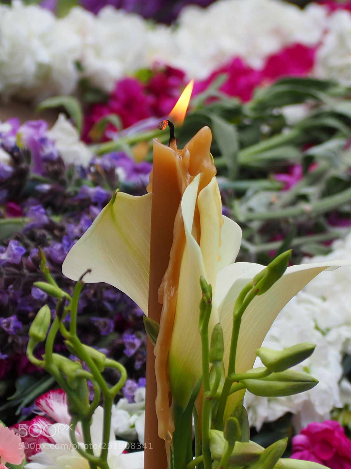 Olympus OM-D E-M10 II sample photo. Holy week... photography