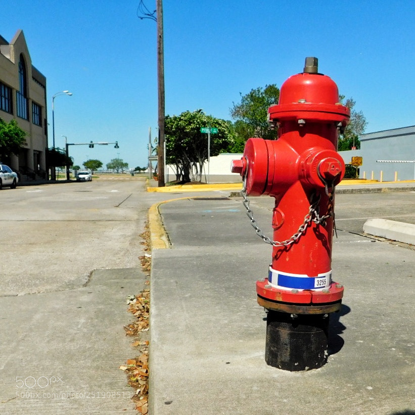 Nikon Coolpix B500 sample photo. City fire hydrant photography