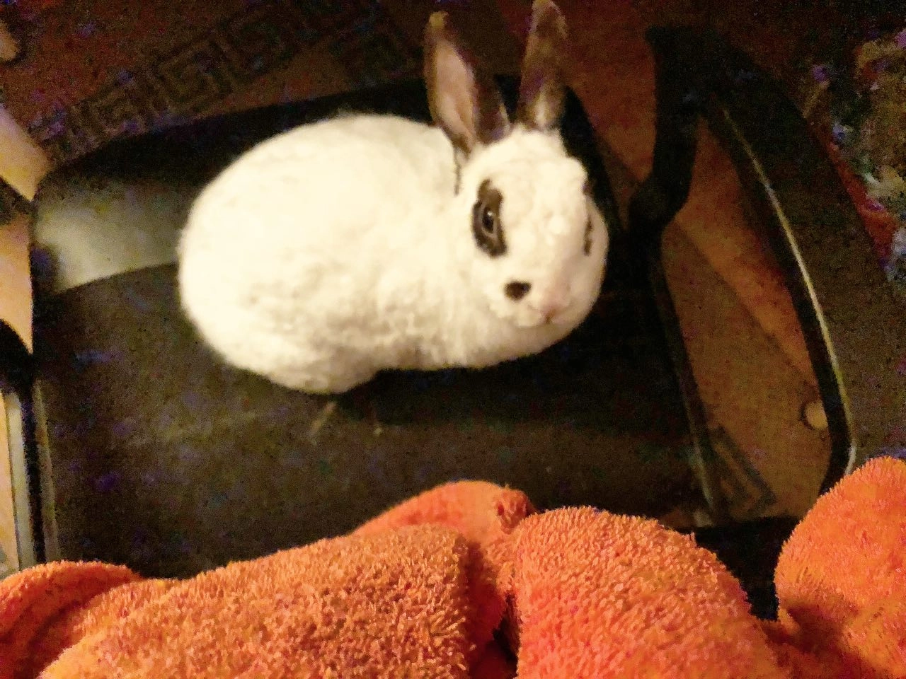 v2?sig=62e45fdd977a174b99d485d52a295ff8e2a3c7d60aa18096643f711a04ac0641