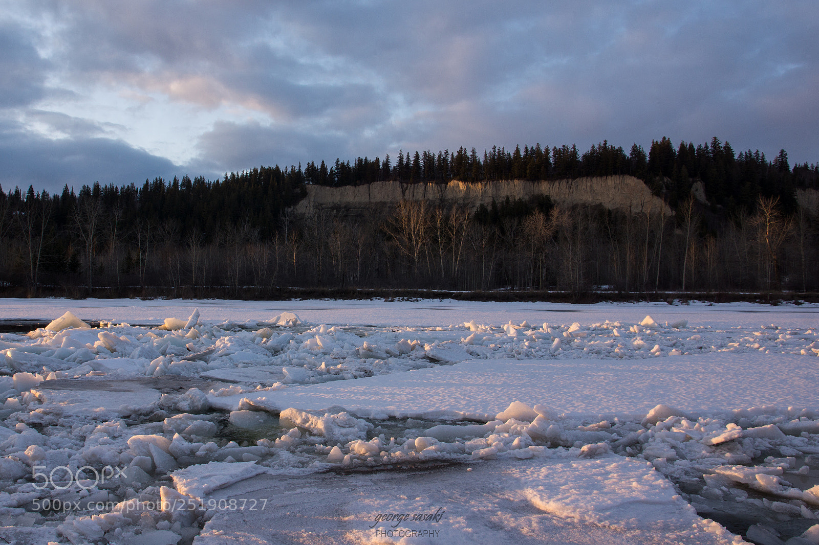 Sony SLT-A77 sample photo. Evening light photography