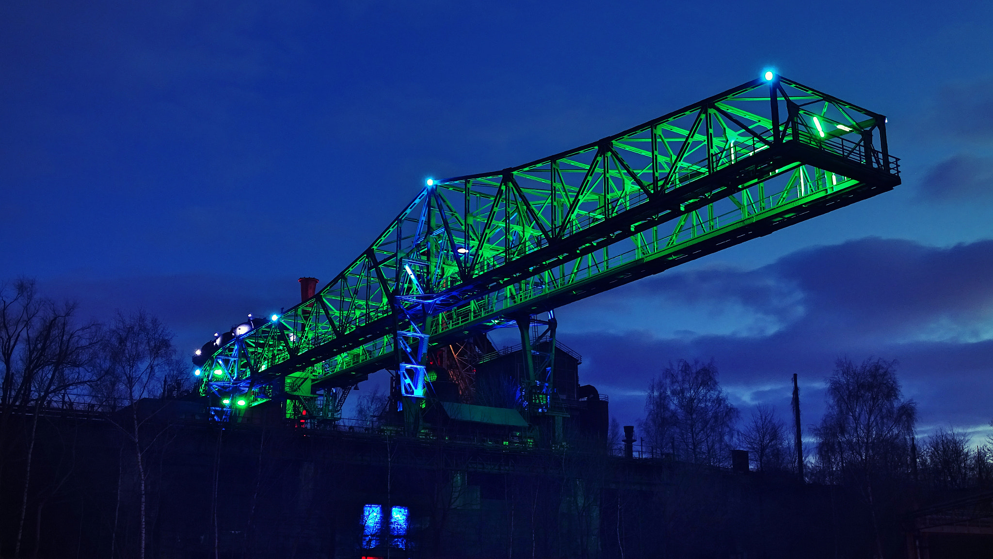 Sony Cyber-shot DSC-HX350 sample photo. Krokodil photography