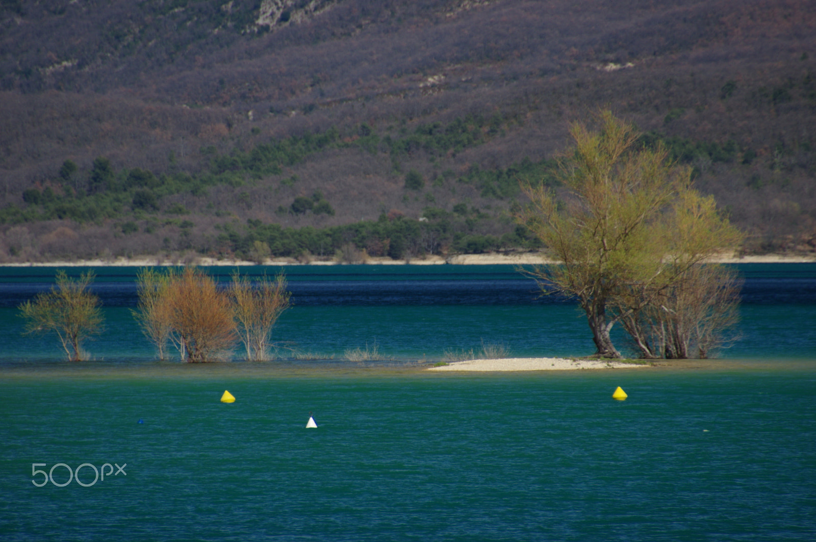 Pentax K-3 II sample photo. Arbres d'île photography