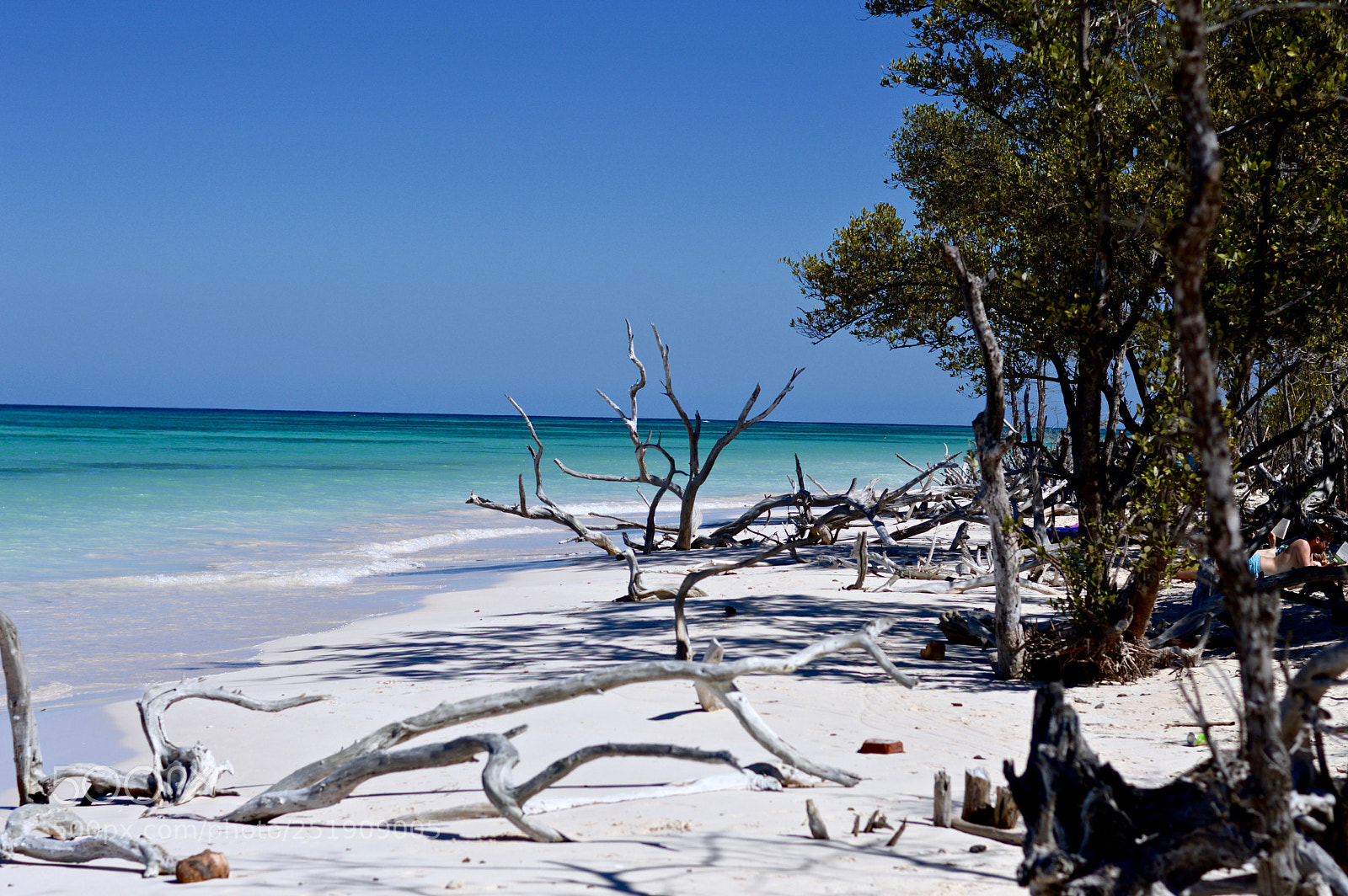 Nikon D3200 sample photo. Paradise. photography