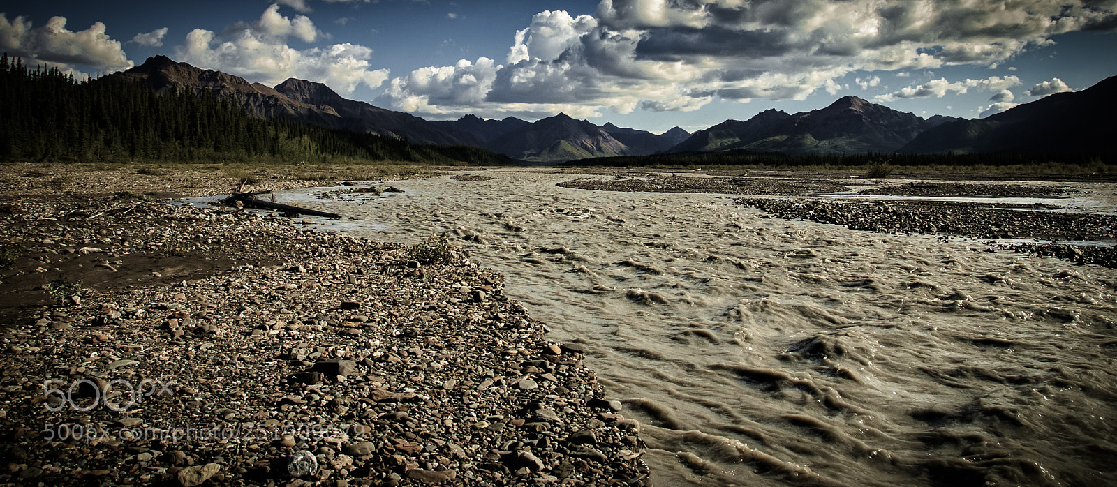 Nikon D200 sample photo. Denali national park photography