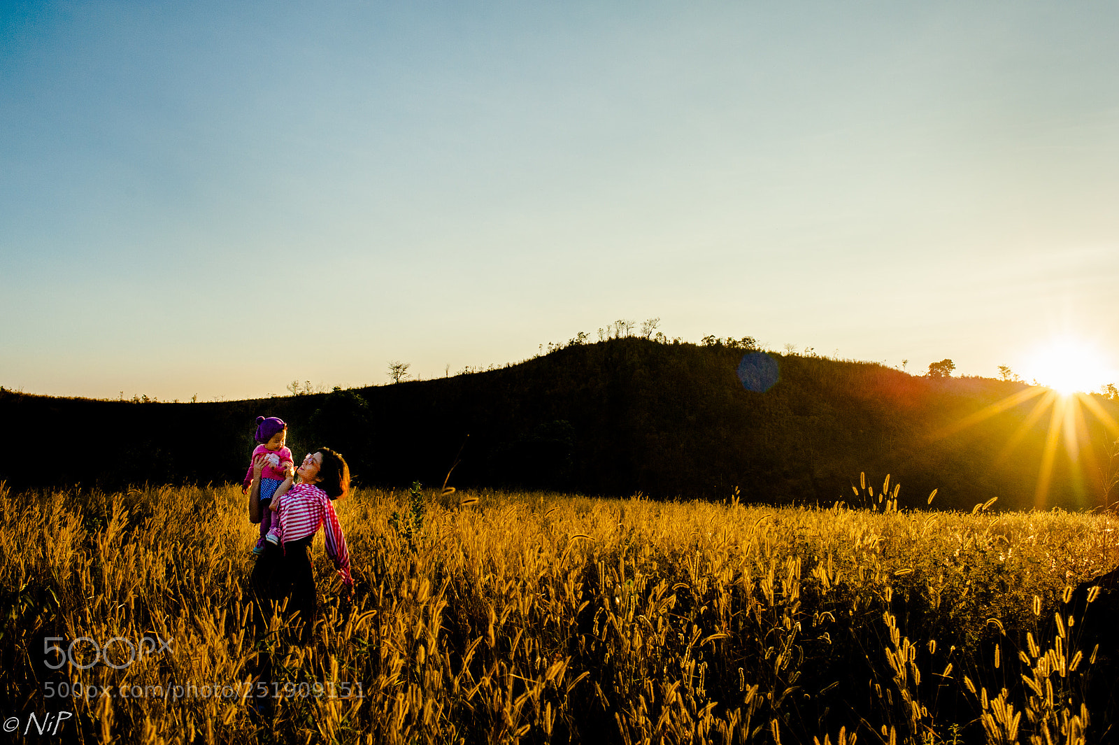 Nikon D700 sample photo. Under the sun photography