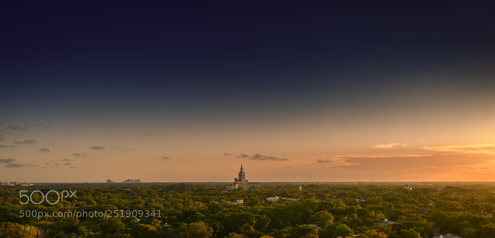 Nikon D850 sample photo. From the top of photography