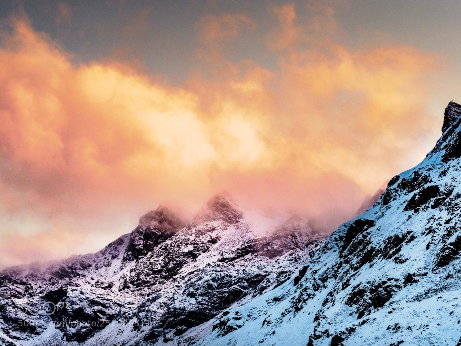 Olympus OM-D E-M1 Mark II sample photo. The alps photography