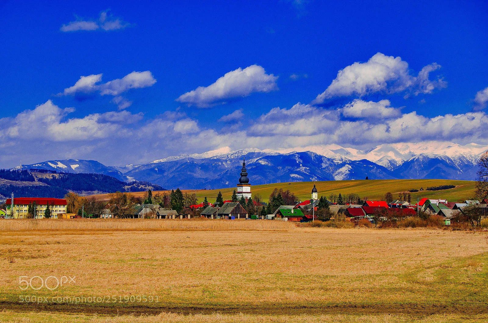 Nikon D7000 sample photo. A photography