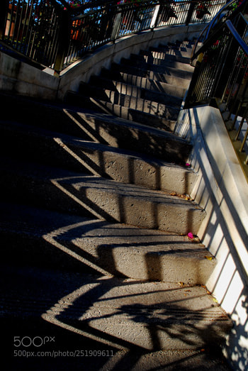Nikon D60 sample photo. Td photography