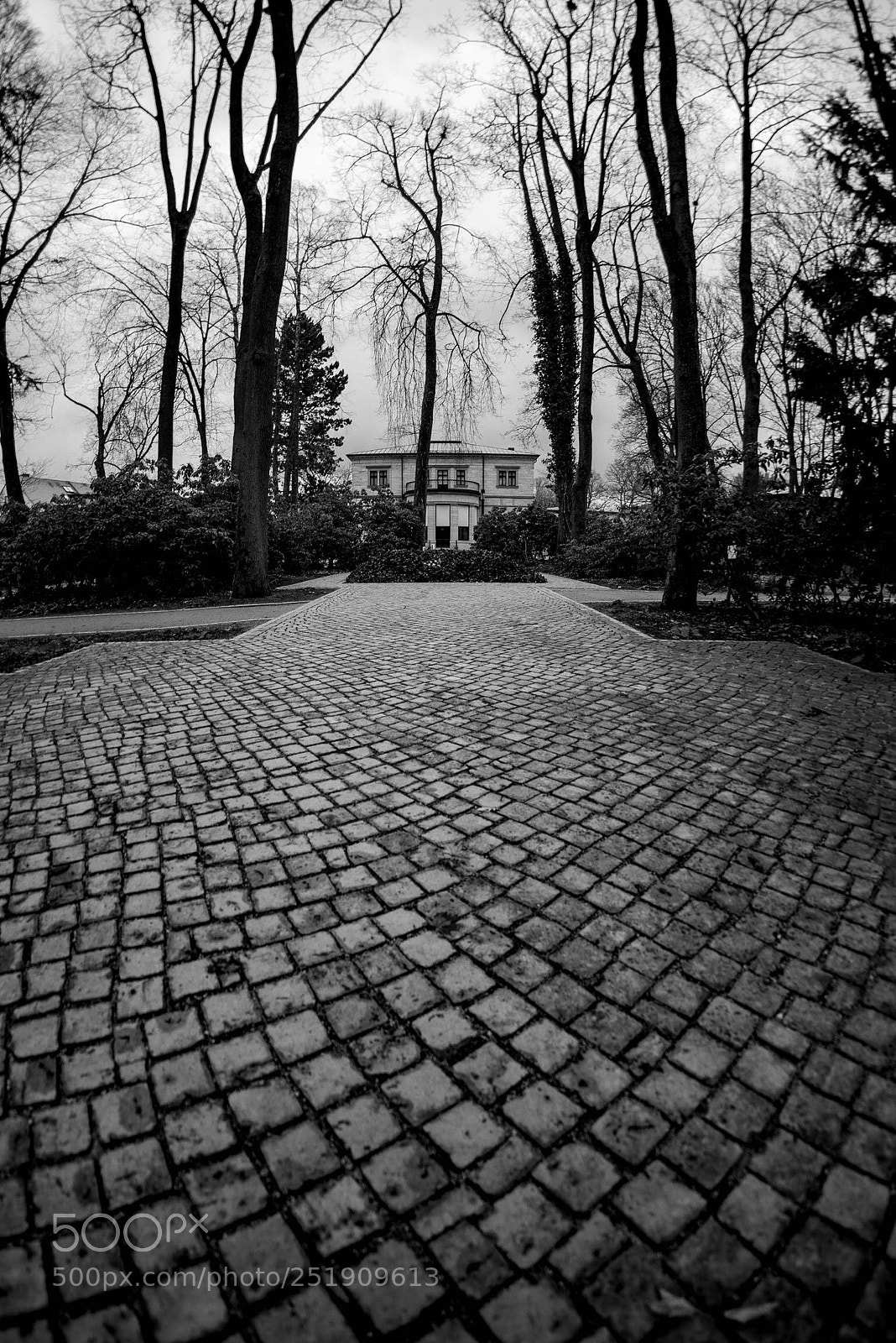 Nikon D800 sample photo. Villa wahnfried photography