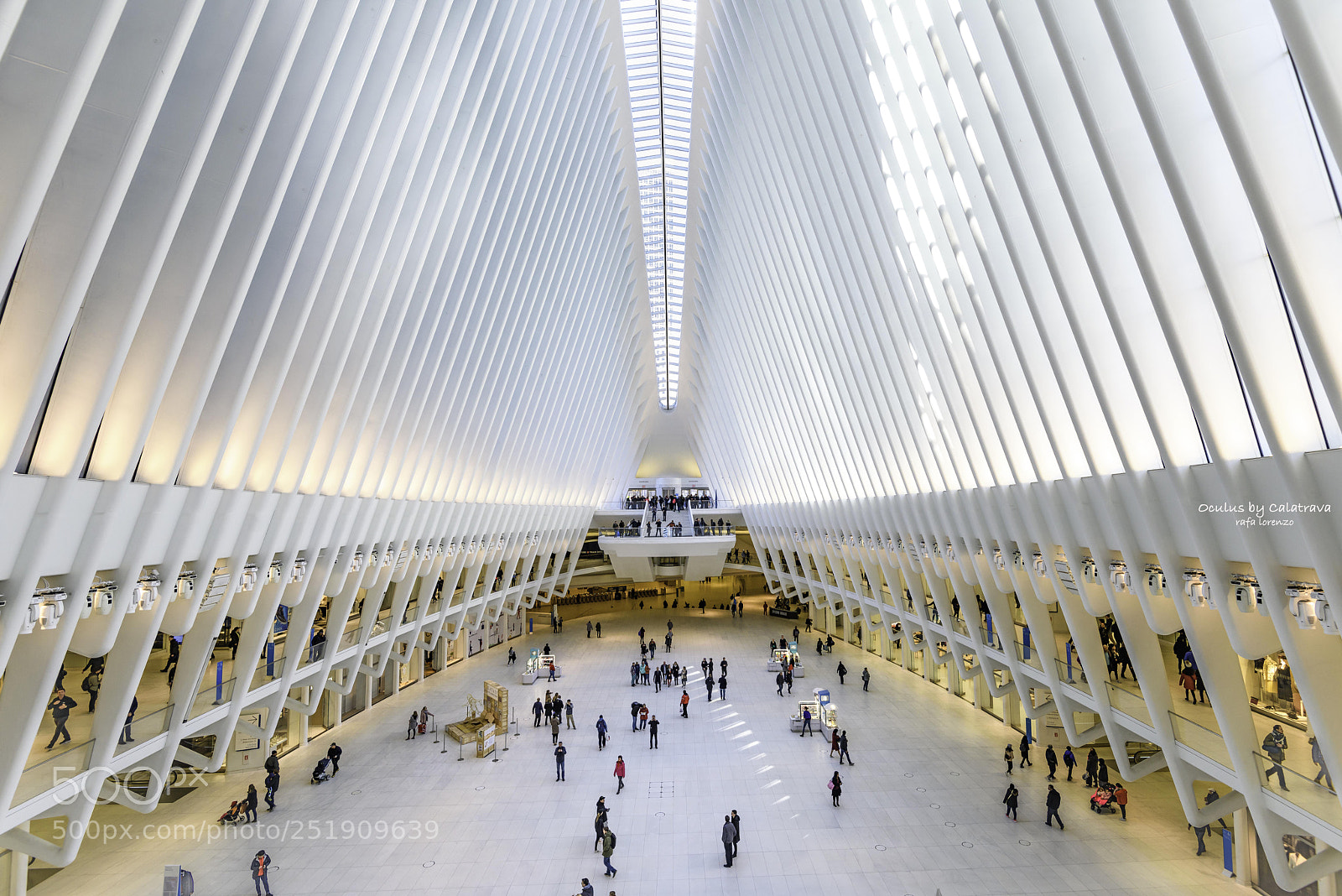 Nikon D810 sample photo. Oculus by calatrava photography