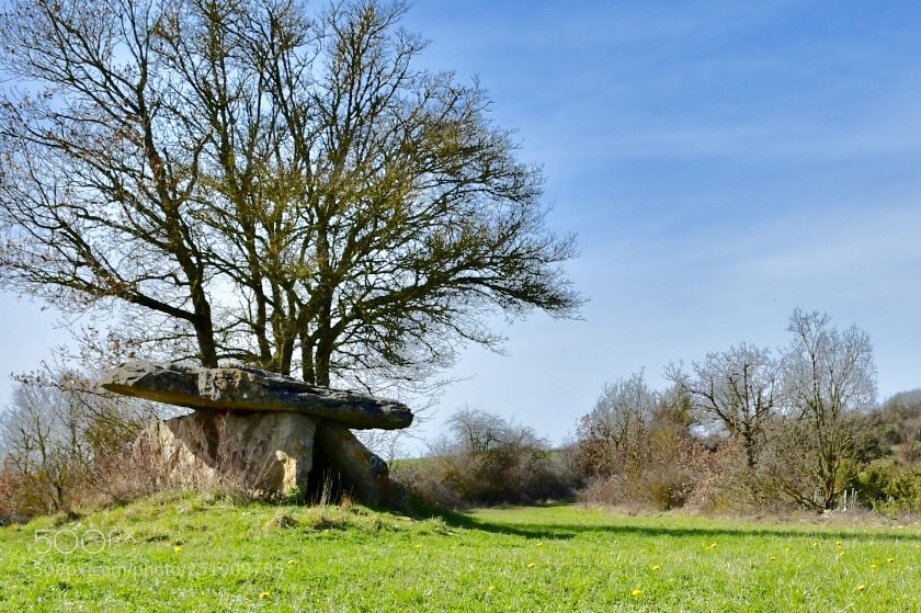 Nikon D7500 sample photo. Dolmen de restous photography