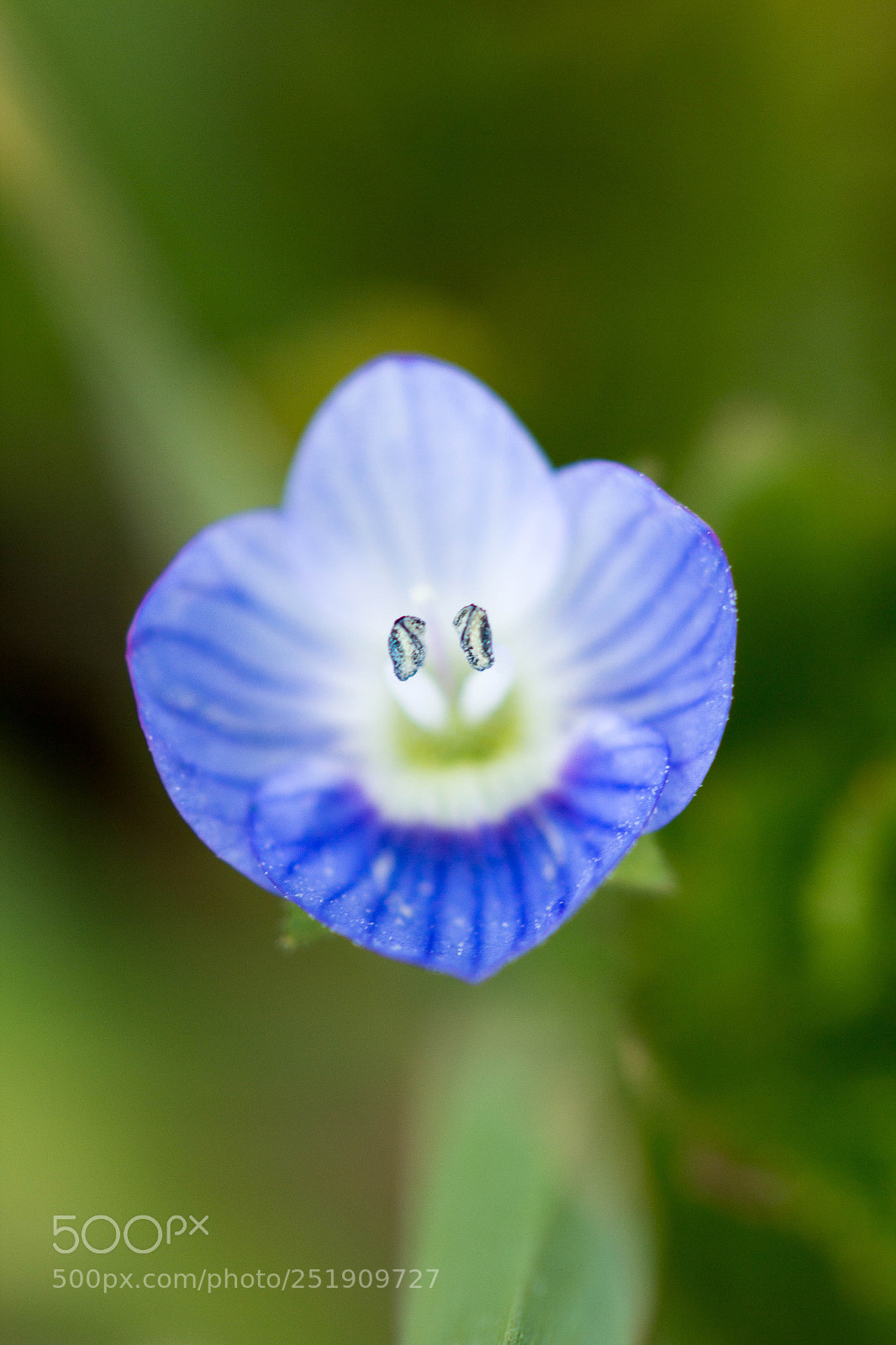 Canon EOS 60D sample photo. Smile photography
