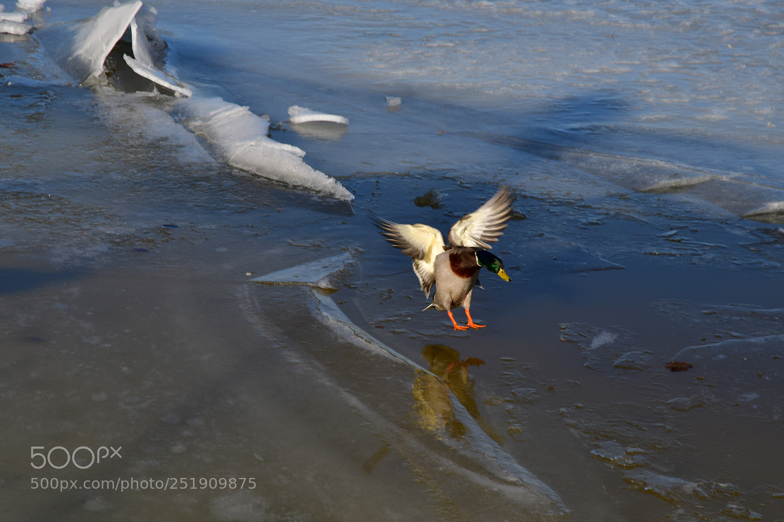 Nikon D500 sample photo. Approaching water photography