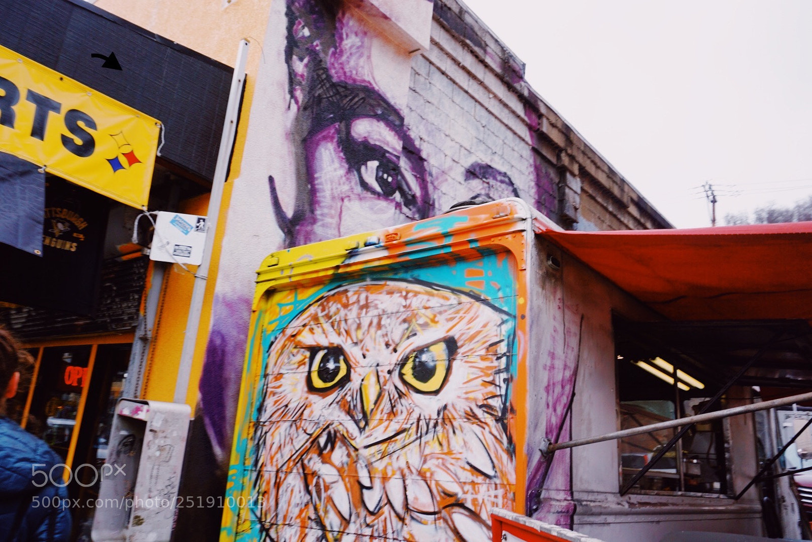Sony a6000 sample photo. Owl mural in pittsburgh photography