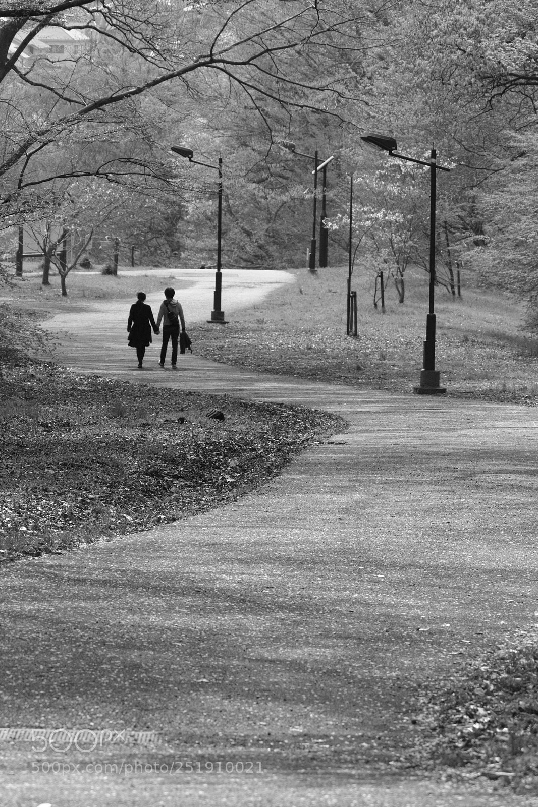 Fujifilm X-T2 sample photo. Dscf photography