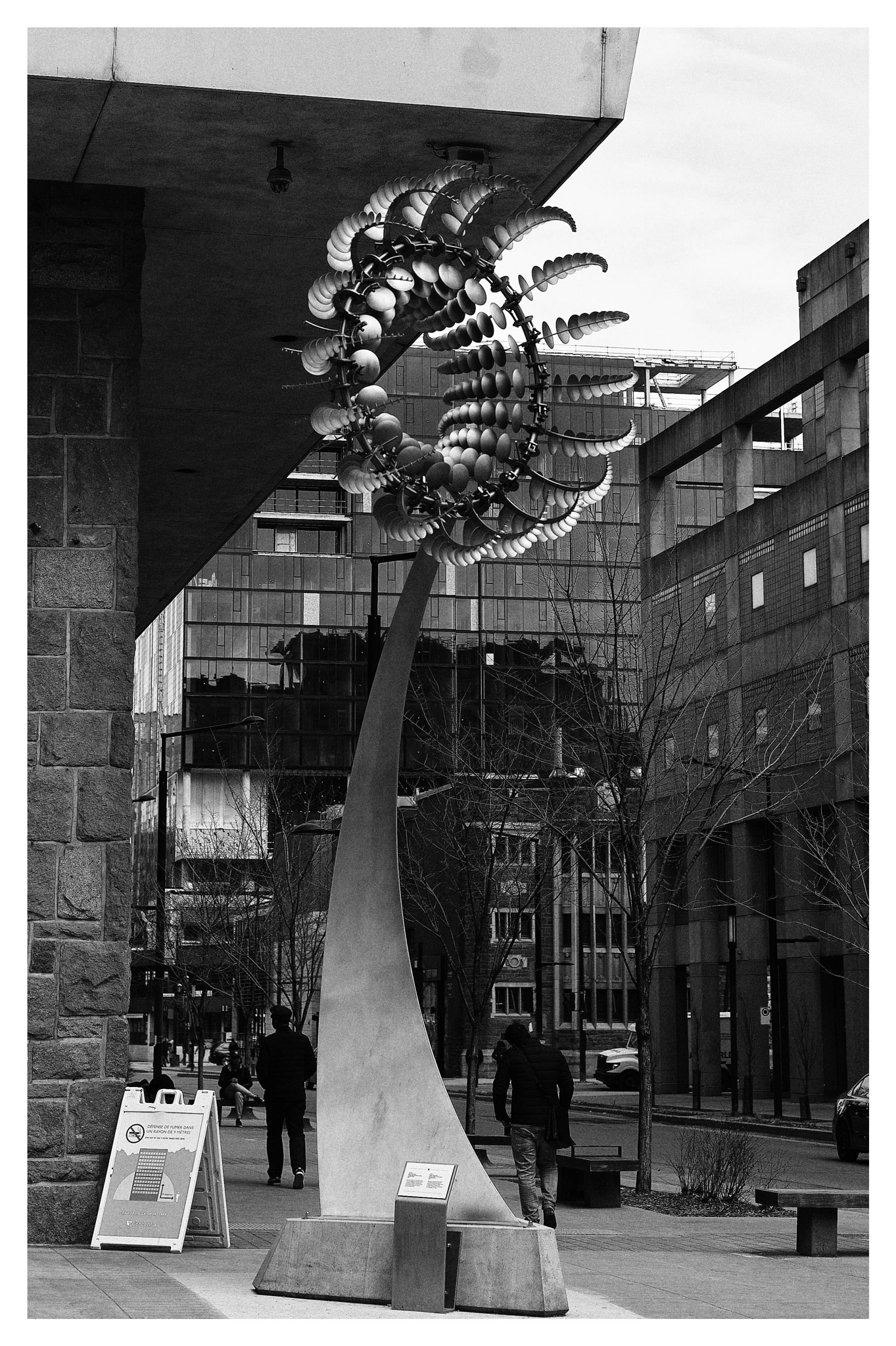 Leica M-Monochrom sample photo. Mechanical flower  photography