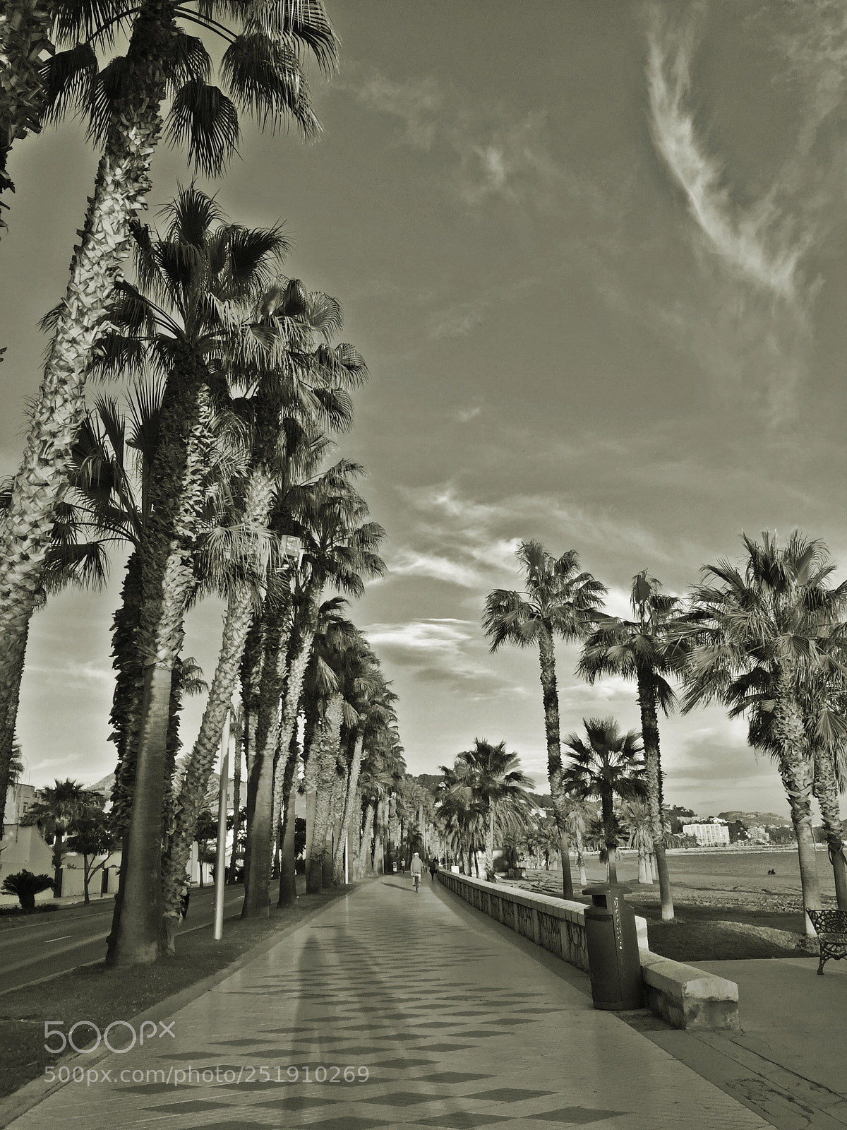 Apple iPhone 6 sample photo. Whiteandblack photography