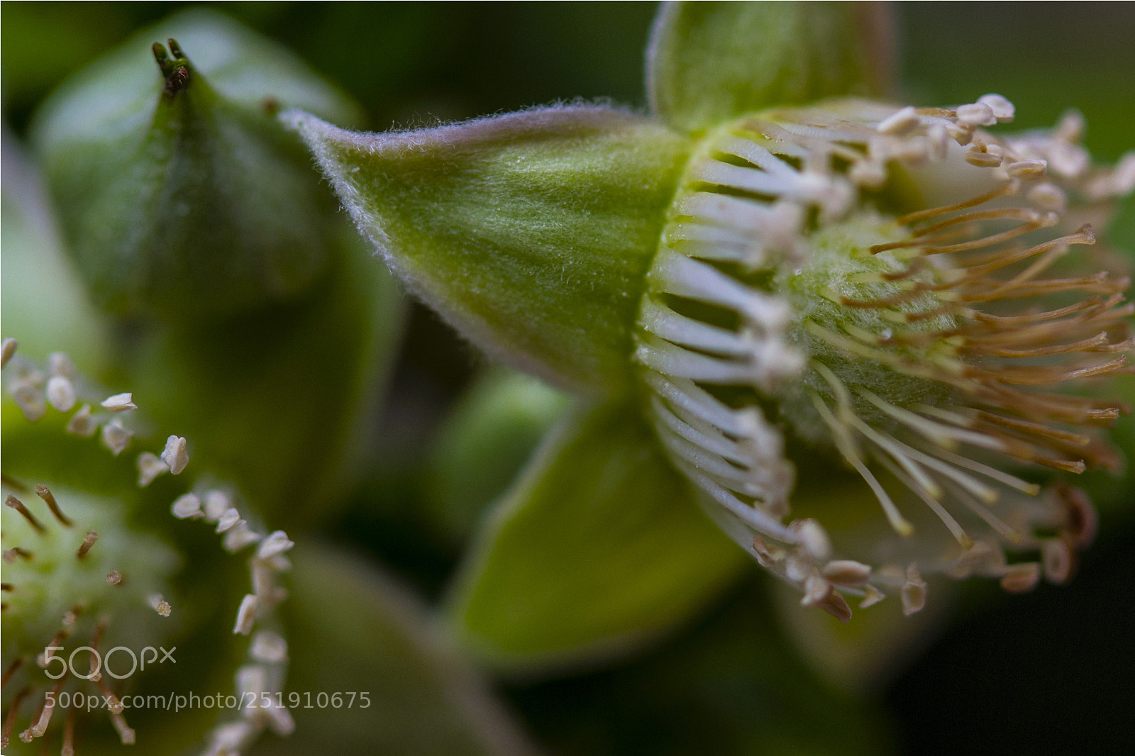 Canon EOS 7D sample photo. Morning photography