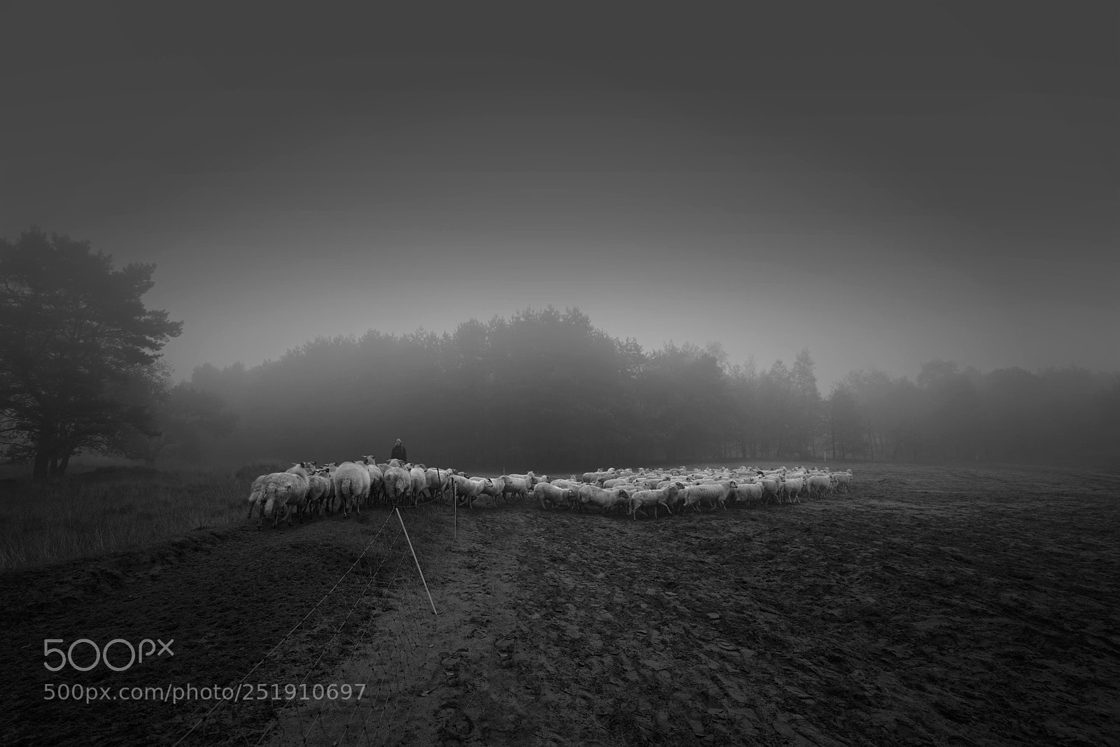 Sony a7R sample photo. Foggy memory photography