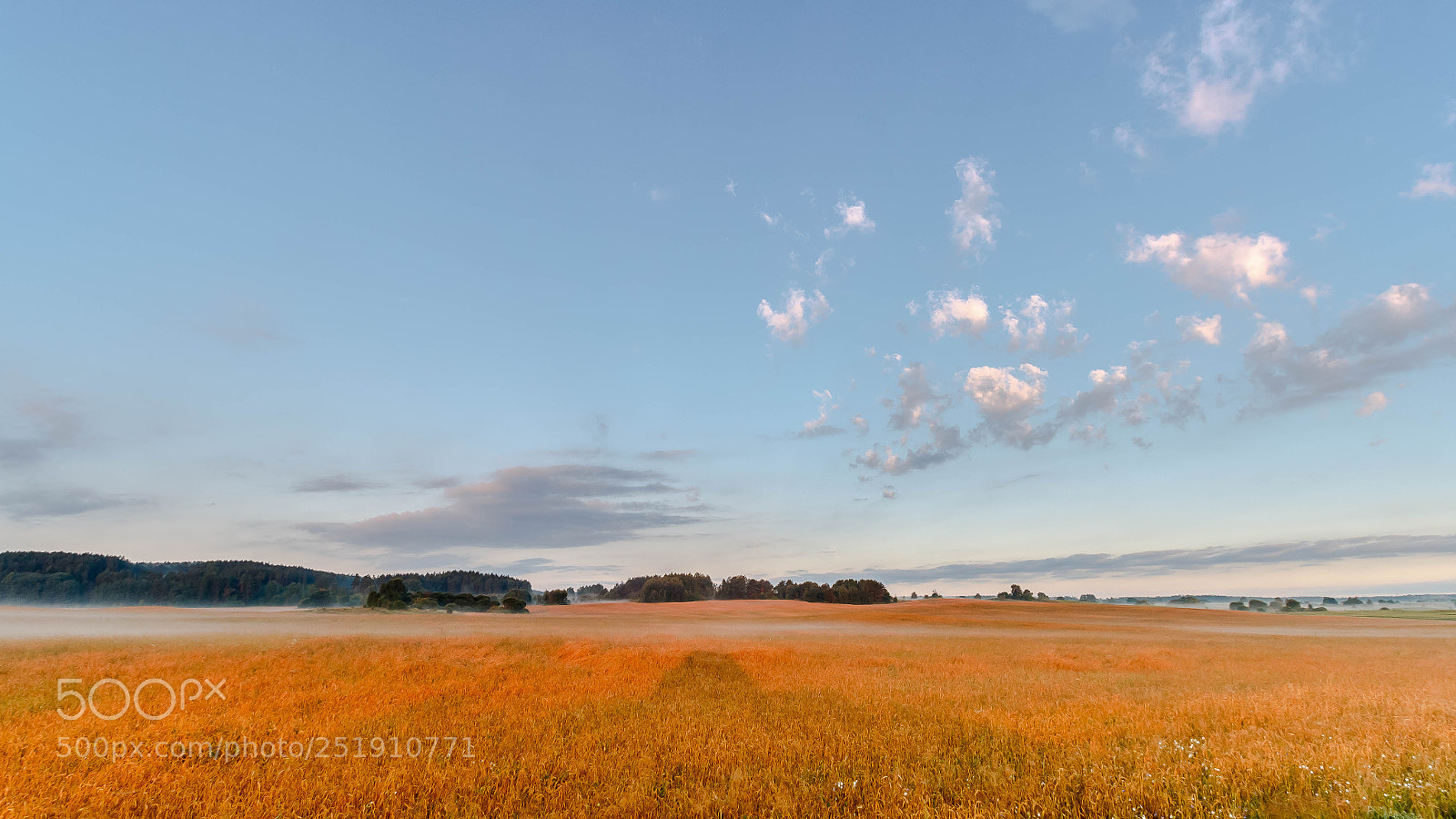 Canon EOS 70D sample photo. Morning in september photography