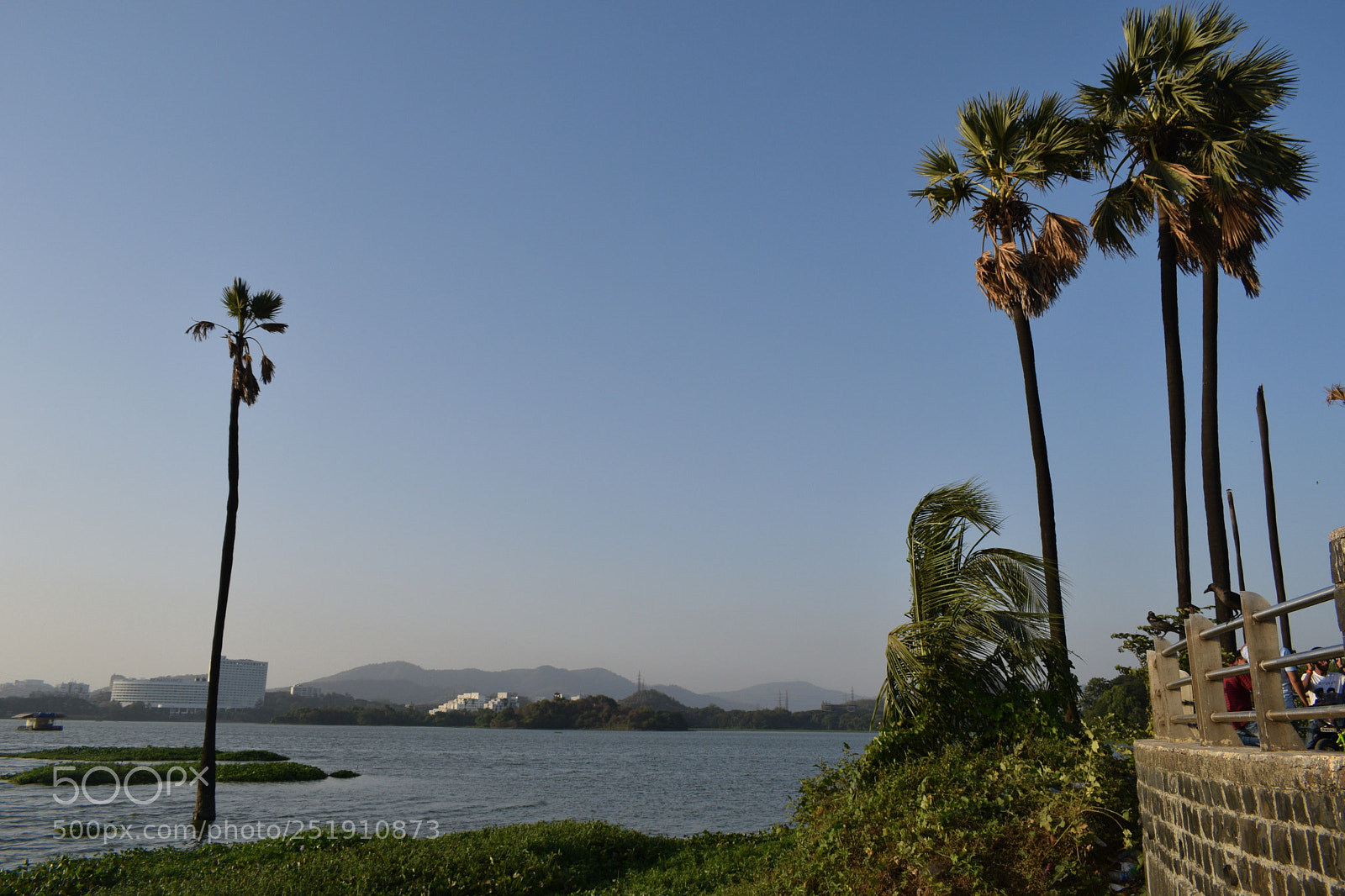 Nikon D3300 sample photo. Powai lake photography