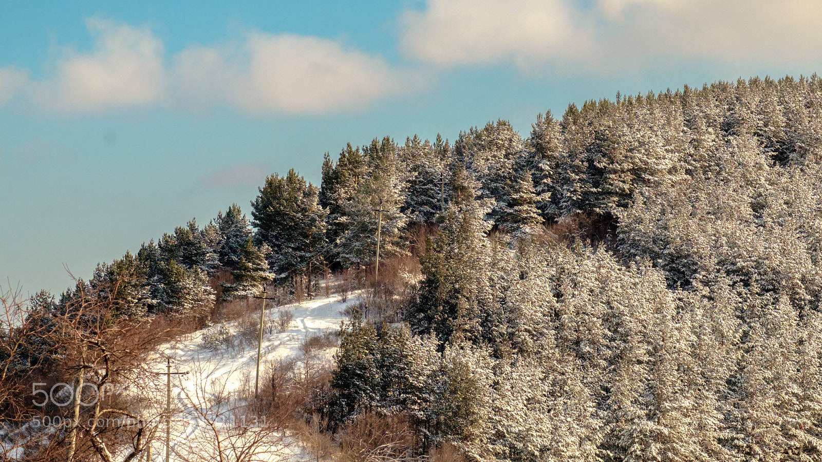 Fujifilm X-T2 sample photo. Snow-covered taiga in the photography