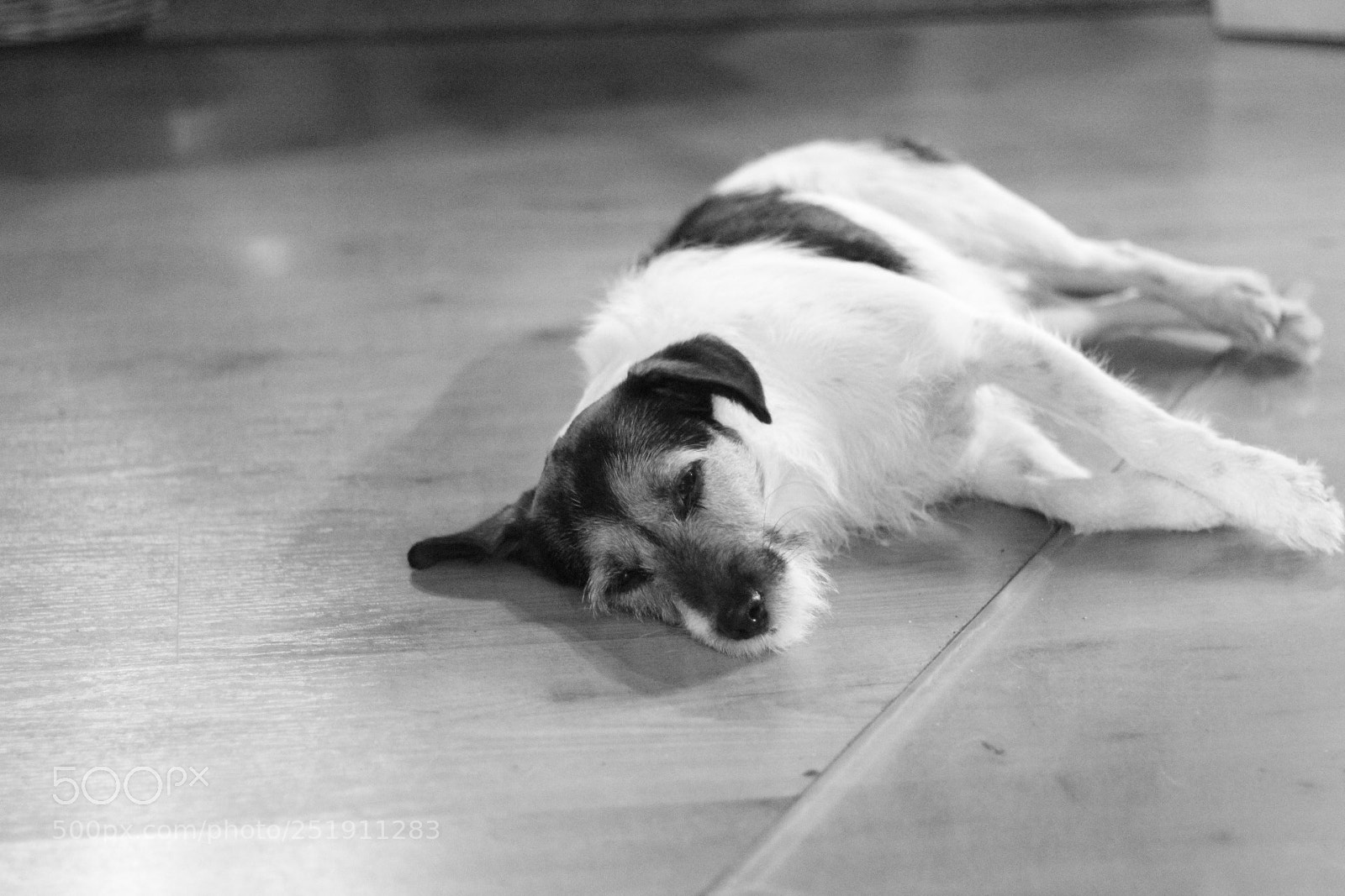 Canon EOS 1300D (EOS Rebel T6 / EOS Kiss X80) + Canon EF 50mm F1.8 STM sample photo. Untitled photography