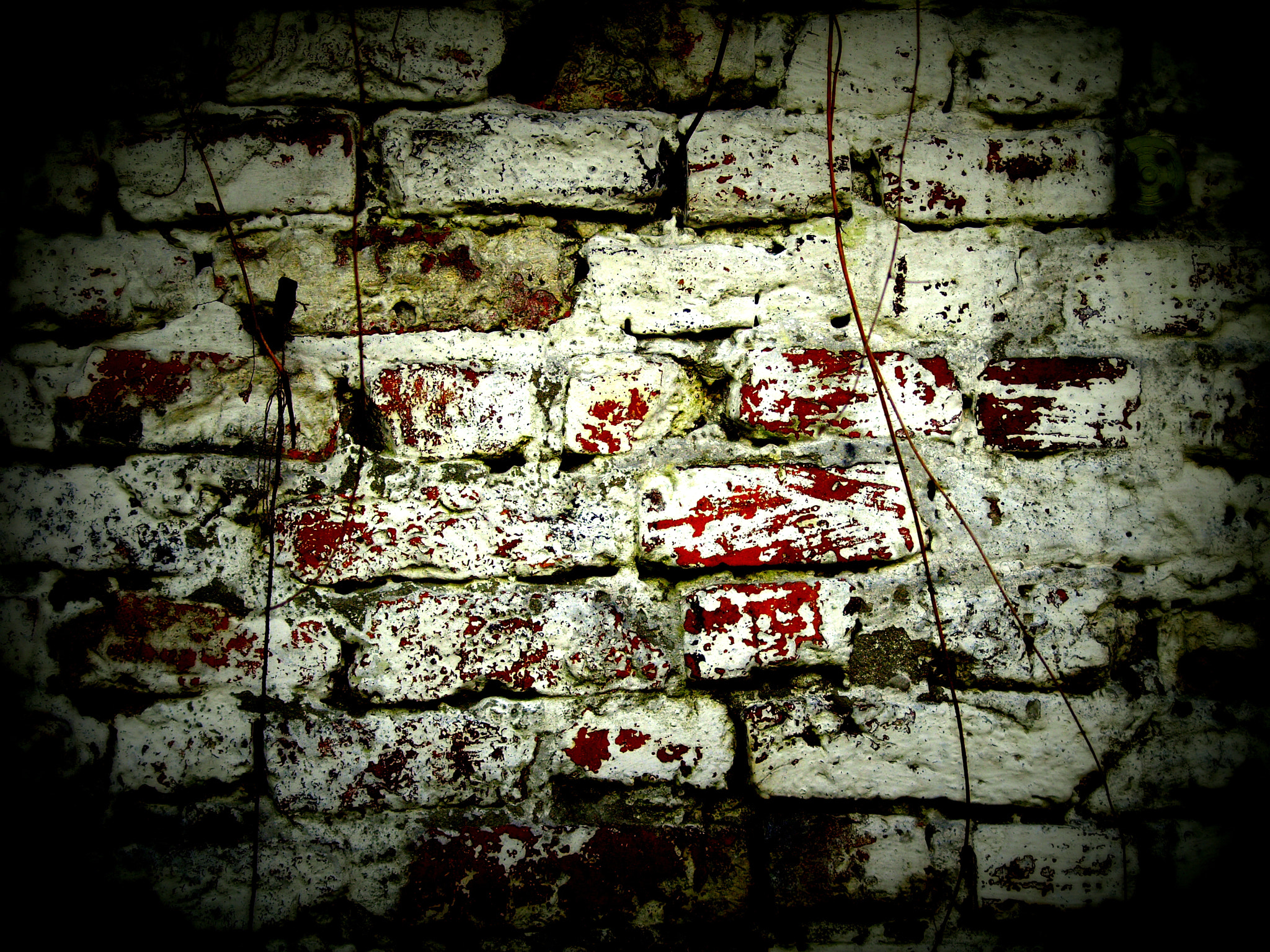 Olympus E-410 (EVOLT E-410) sample photo. Another brick in the wall photography