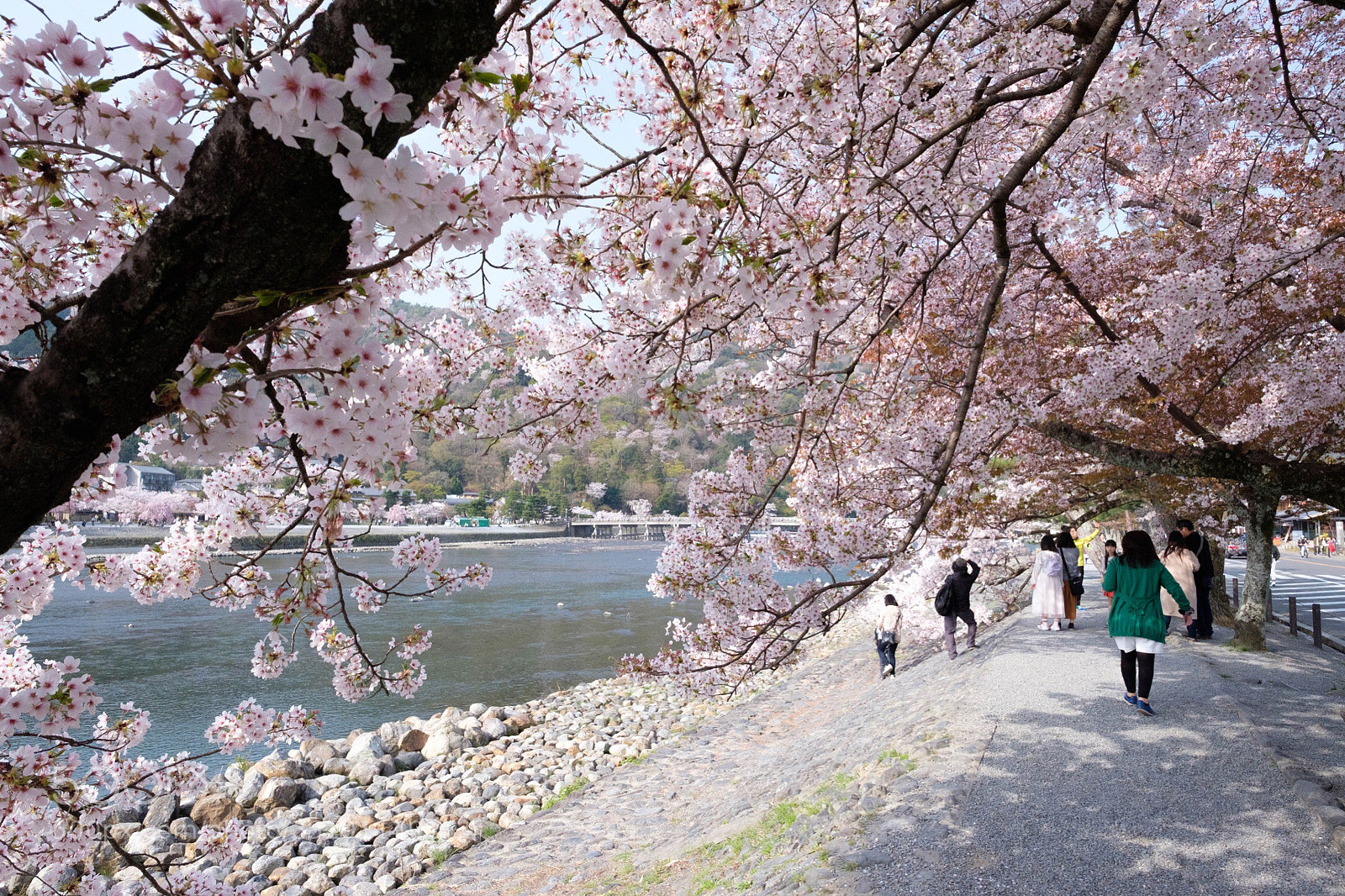 Fujifilm X-Pro2 sample photo. Arashiyama, kyoto. photography