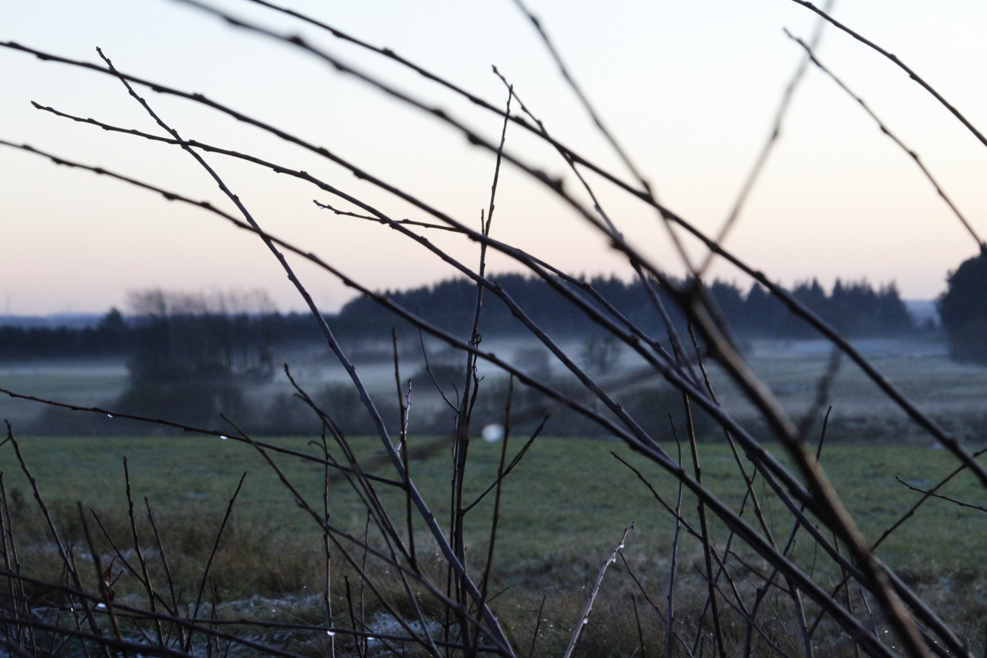 Canon TS-E 90mm F2.8 Tilt-Shift sample photo. Natur photography