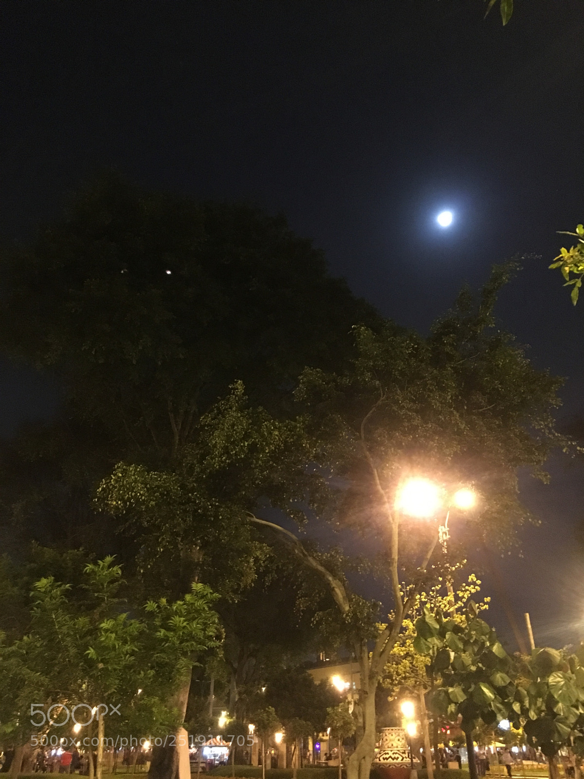 Apple iPhone 6s sample photo. Luna photography