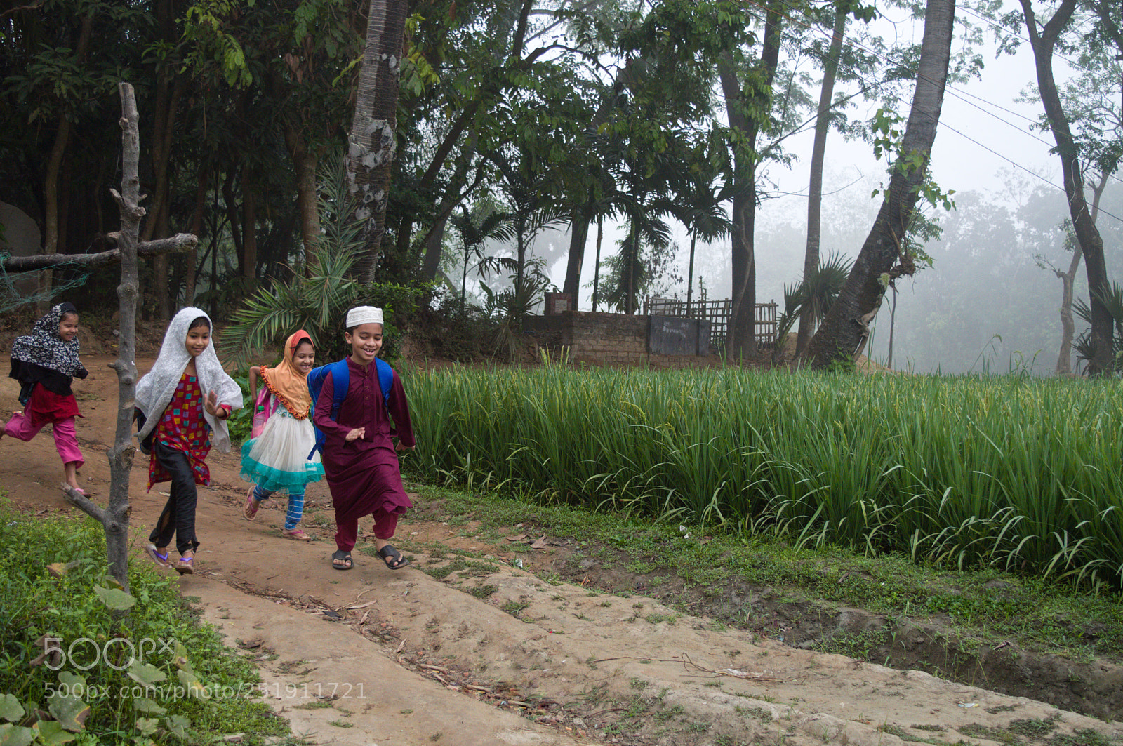 Nikon D3200 sample photo. School time :) photography