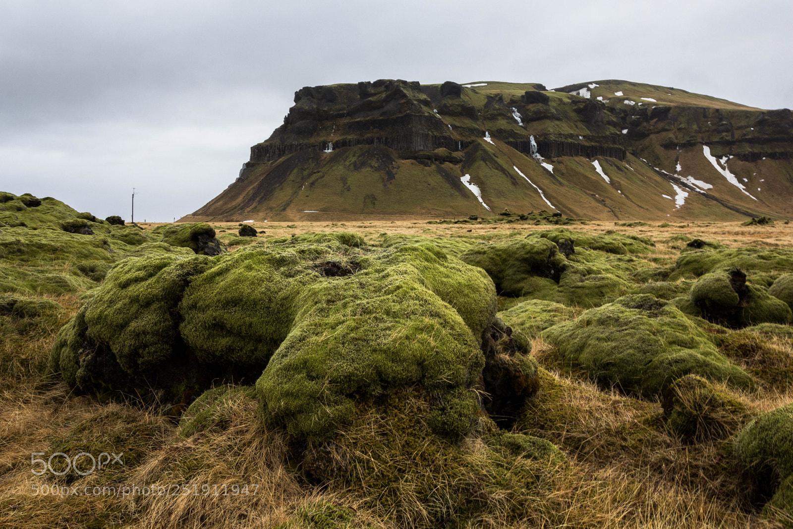 Canon EOS 60D sample photo. Green lava photography